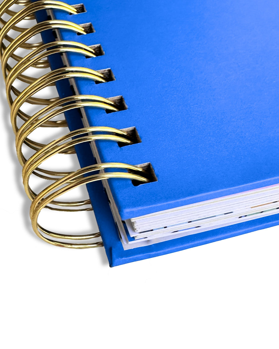 2025 BD Blue Planner - Pre-Sale